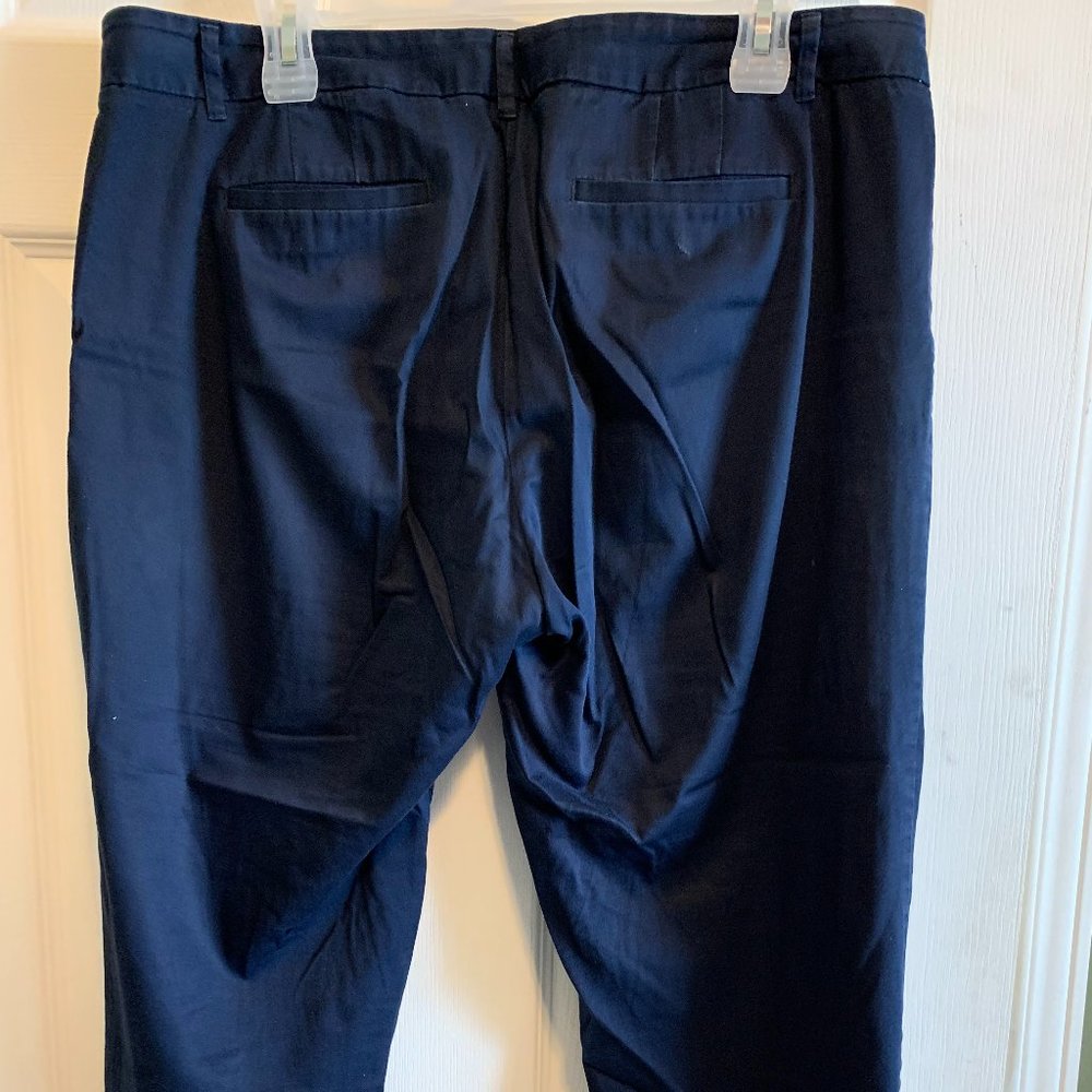 J Crew Ladies Blue Capris